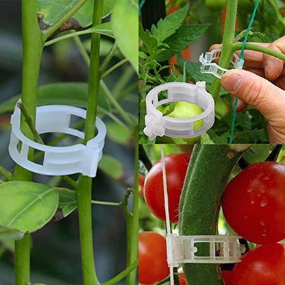 🍅🌺【200/300/500/1000  piezas】Soporte de plástico para plantas, para decoración de jardín de verduras de invernadero